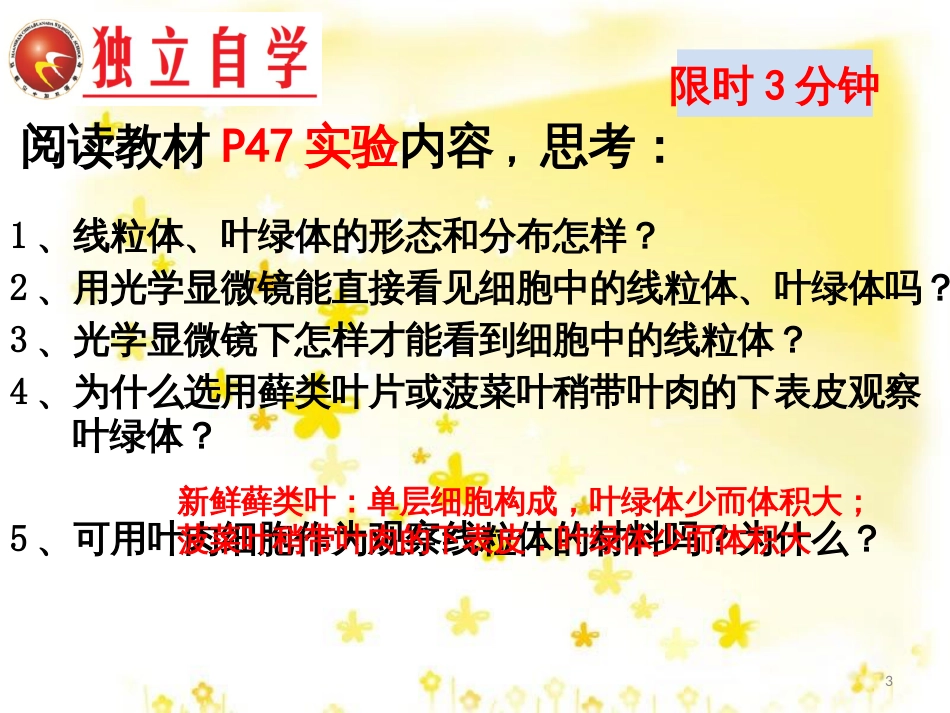 高中生物 第三章 细胞的基本结构 3.2 细胞器（第2课时）课件 新人教版必修1_第3页