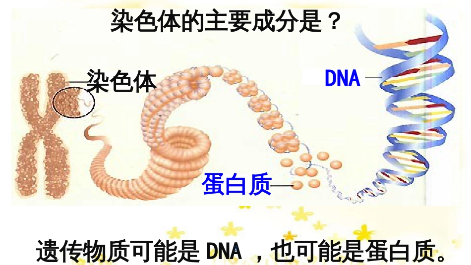 高中生物 第三章 基因的本质 3.1 DNA是主要的遗传物质教学课件 新人教版必修2_第3页