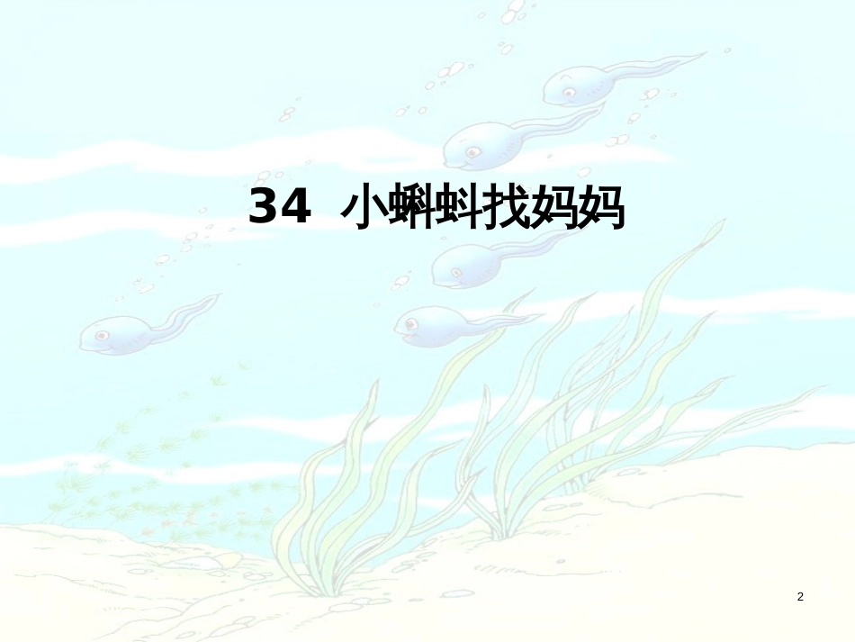 （人教新课标）一年级语文下册第34课《小蝌蚪找妈妈》课件（2）（共22张PPT）_第2页