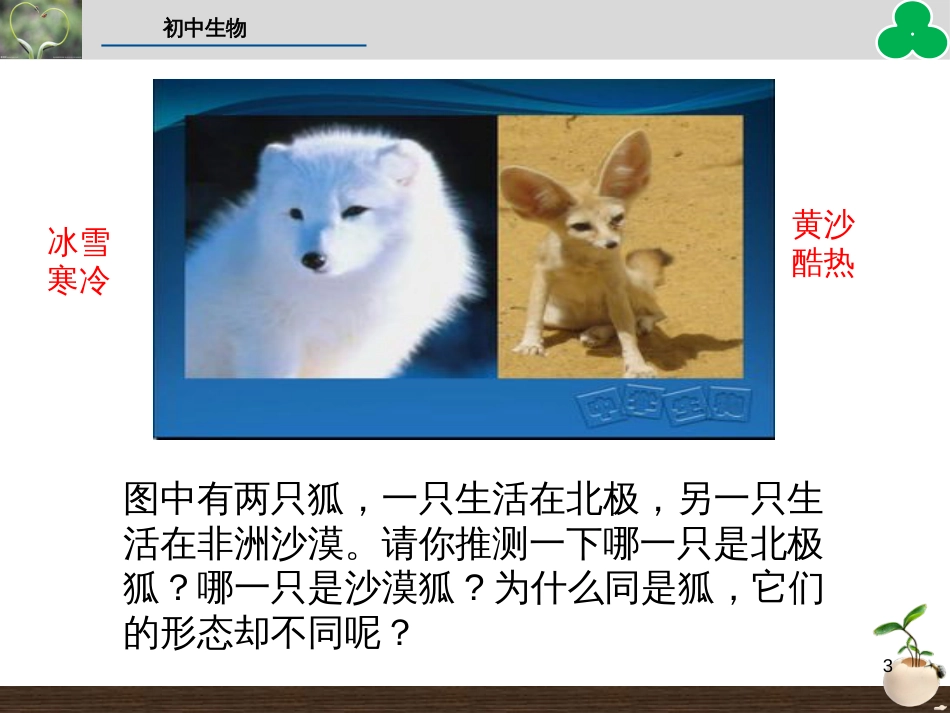 （人教版）语文九年级上学期同步练习课件：名著导读（一） (61)_第3页