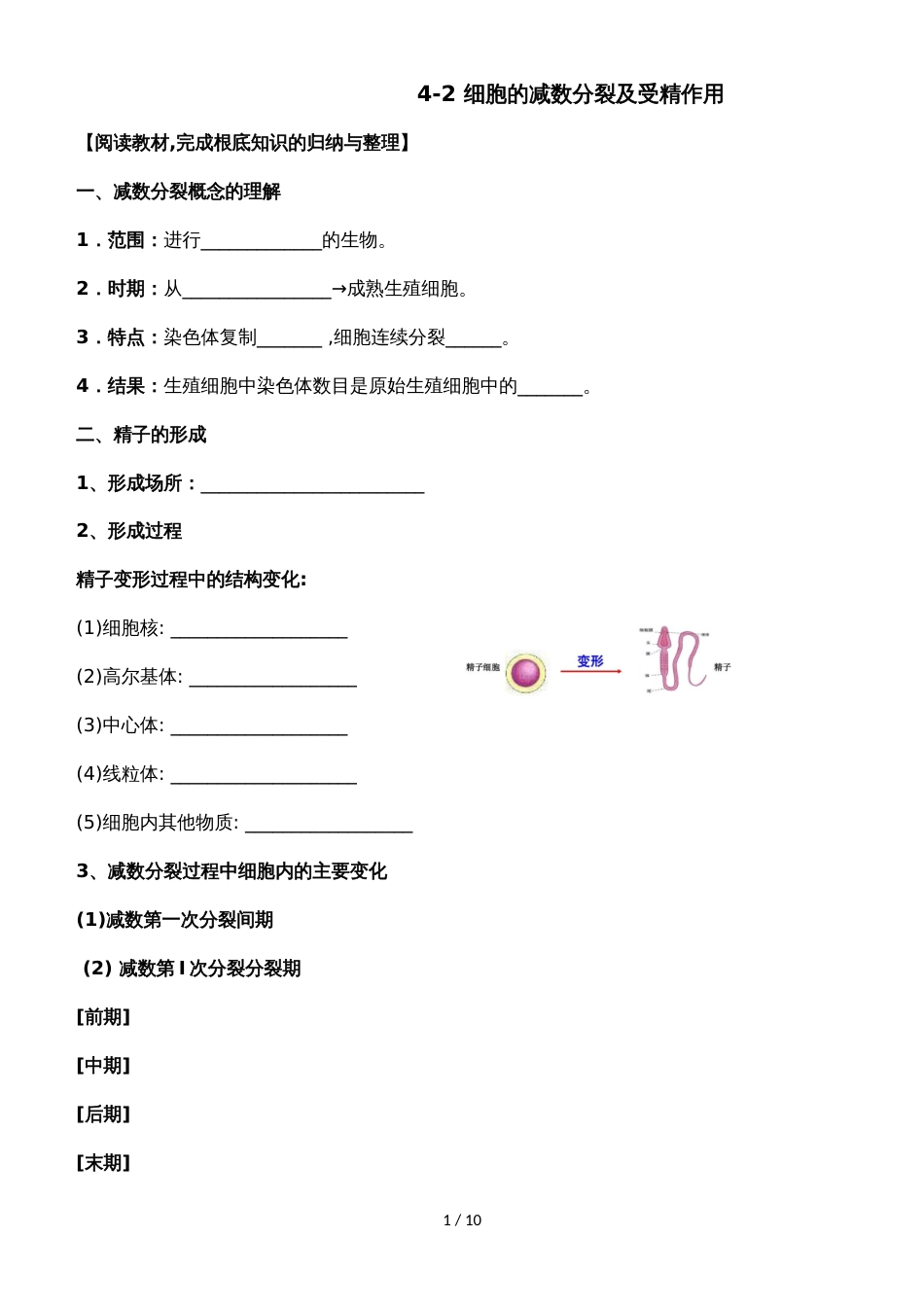 42 细胞的减数分裂及受精作用 学案_第1页