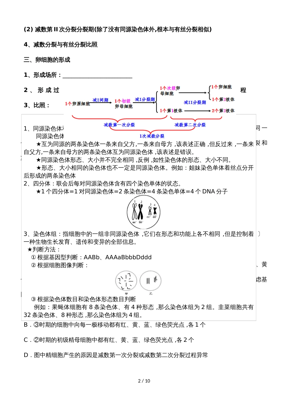 42 细胞的减数分裂及受精作用 学案_第2页