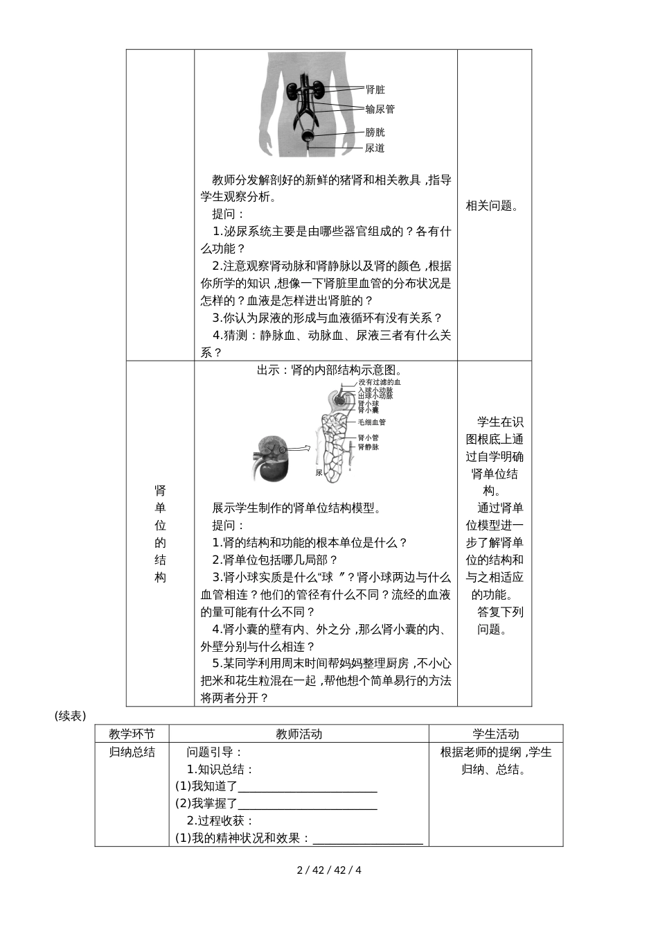 第1课时　排泄及泌尿系统的组成_第2页