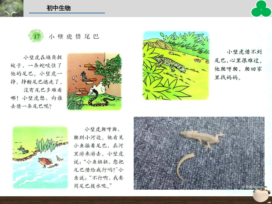 （人教版）语文九年级上学期同步练习课件：名著导读（一） (54)_第2页