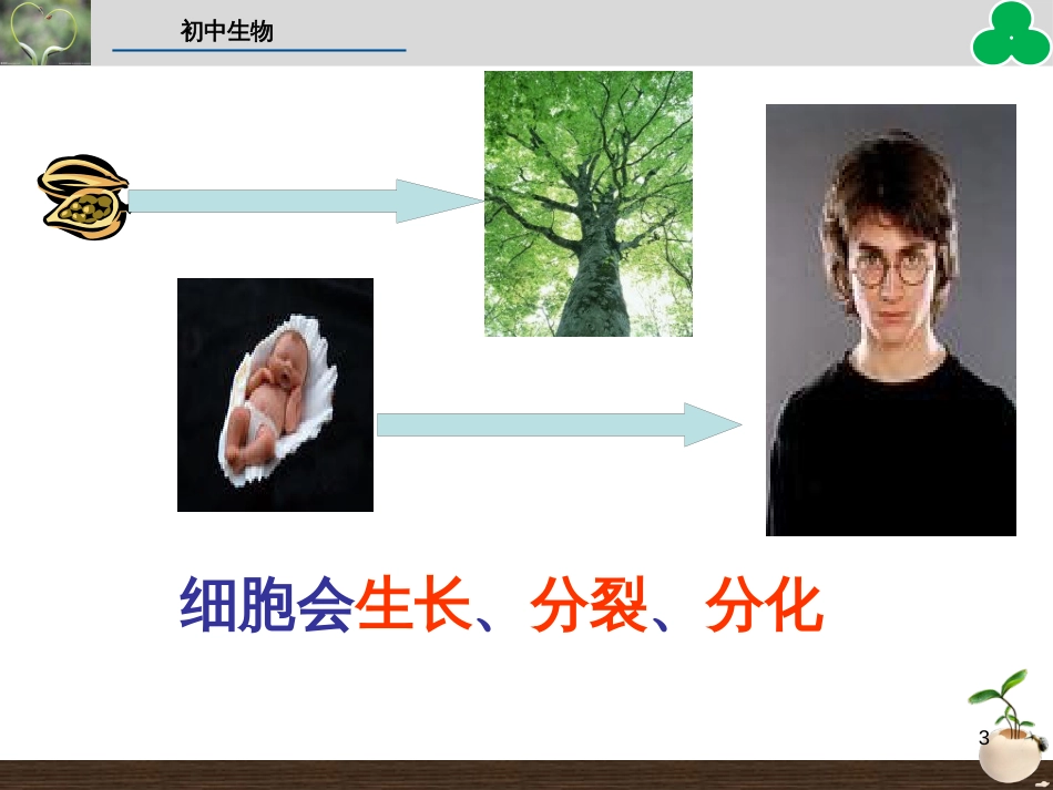（人教版）语文九年级上学期同步练习课件：名著导读（一） (54)_第3页