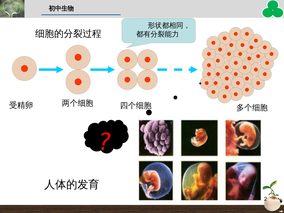 （人教版）语文九年级上学期同步练习课件：名著导读（一） (51)_第2页