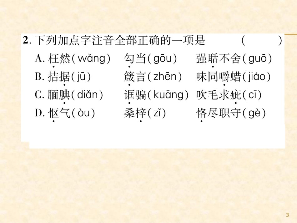 （2）字词专项训练_第3页