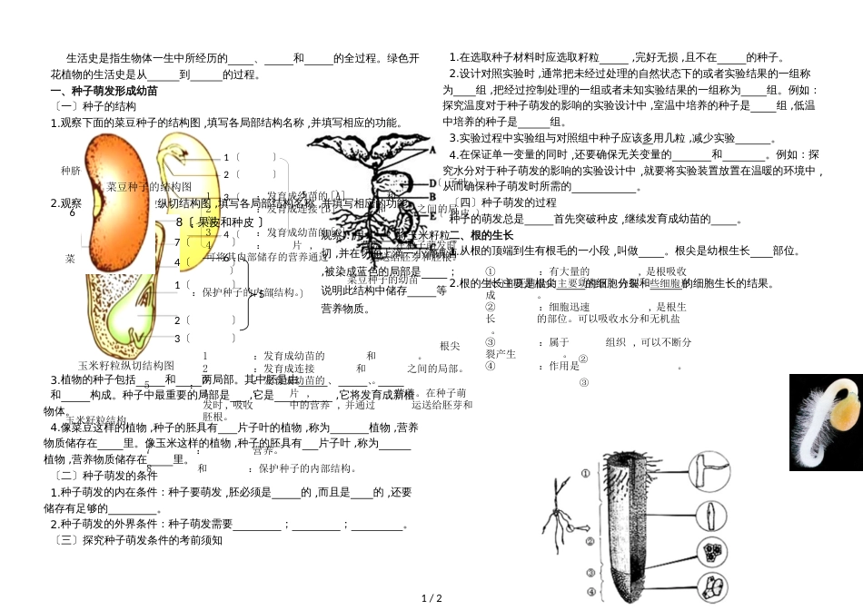 初中生物八上复习课《种子的萌发》知识梳理无答案_第1页