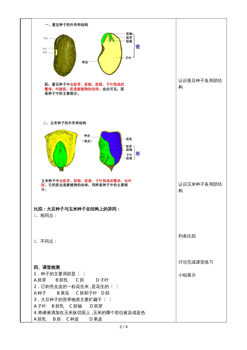 19.2  植物的生长发育（1）_第2页