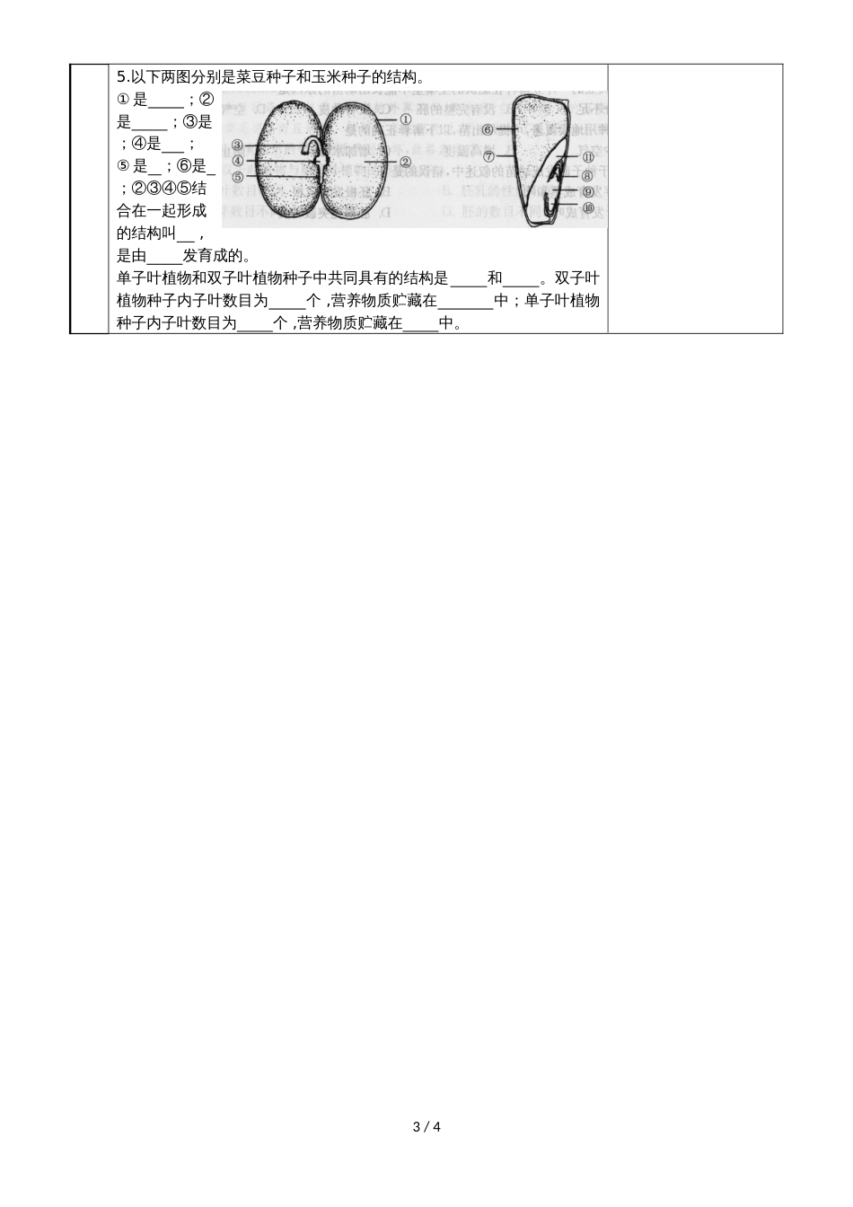 19.2  植物的生长发育（1）_第3页