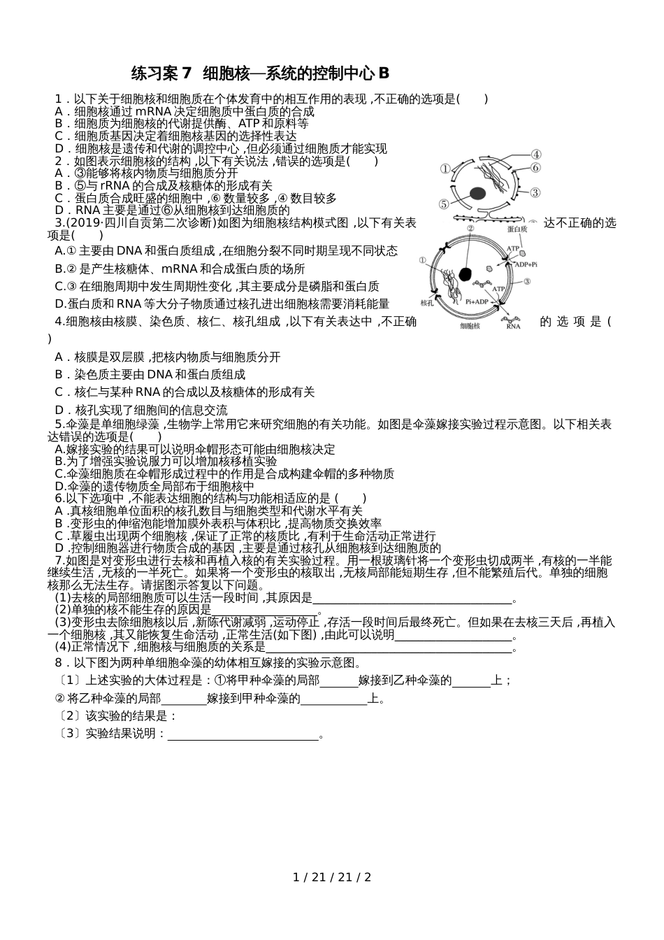 必修一细胞核系统的控制中心练习案B无答案_第1页