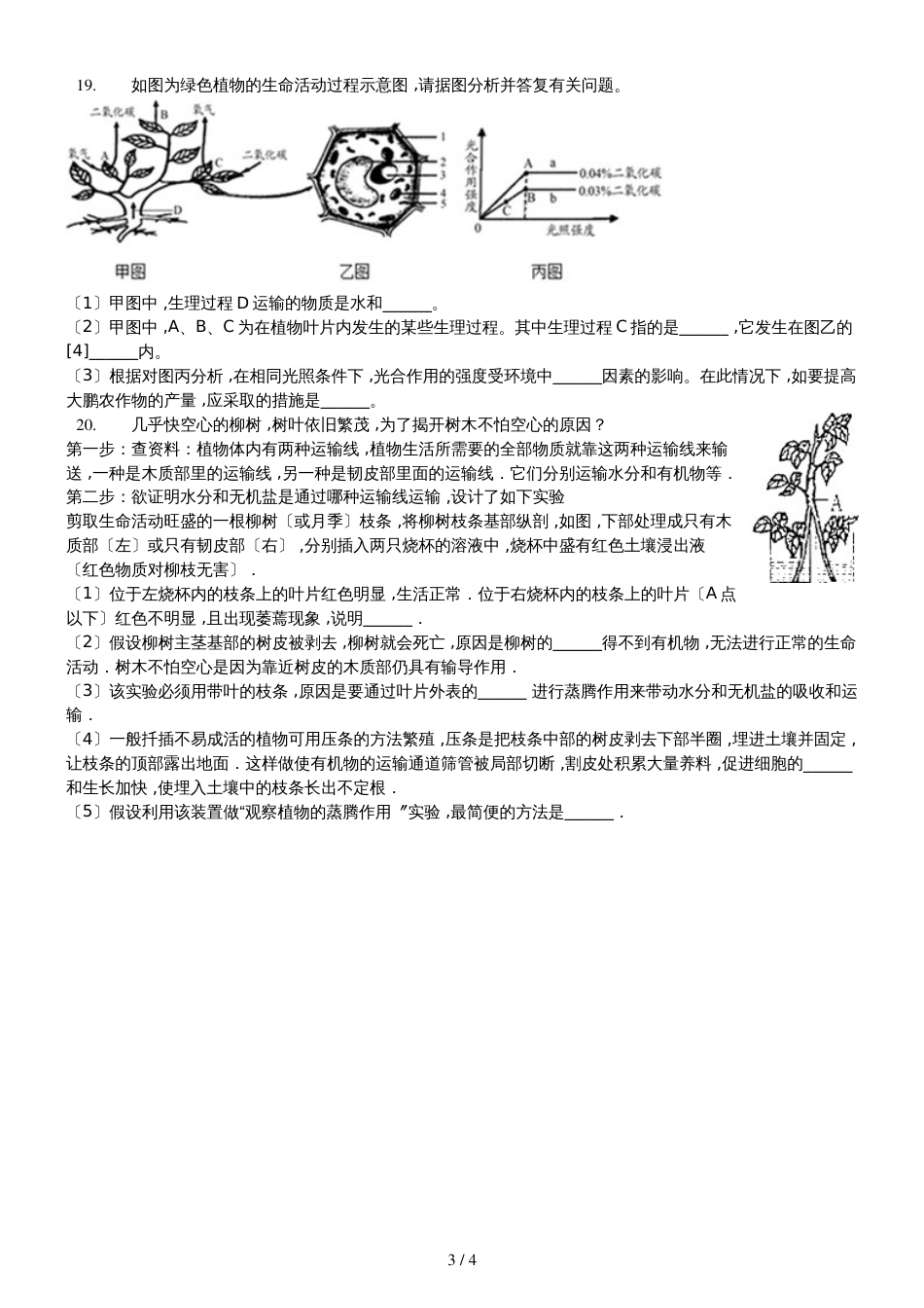 北师大版生物七年级上册5.5《运输作用》同步练习（含答案）_第3页