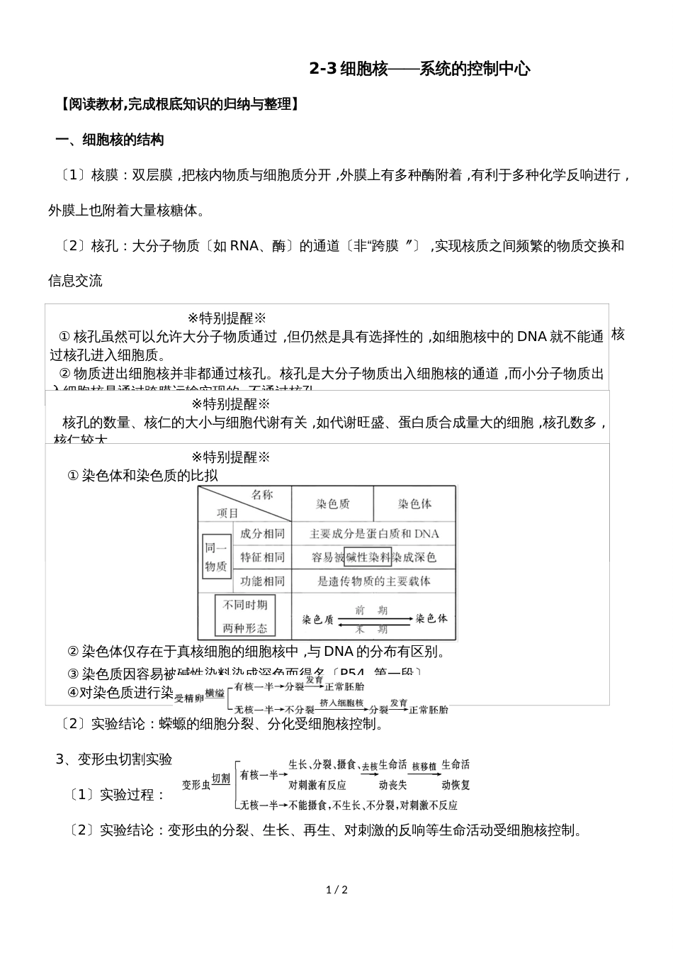 23细胞核系统的控制中心  学案_第1页