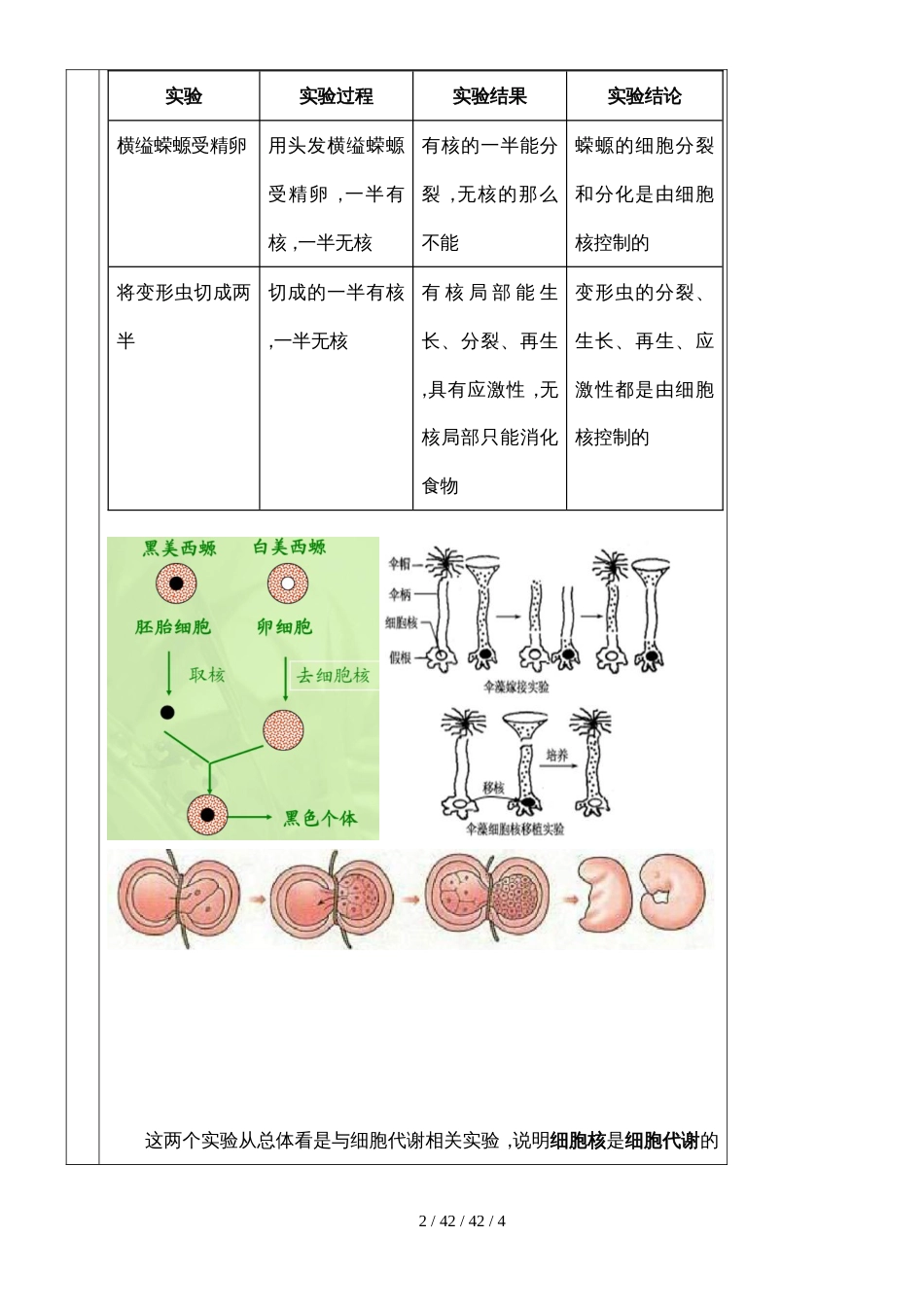 必修一第三章第3节 细胞核系统的控制中心教案_第2页