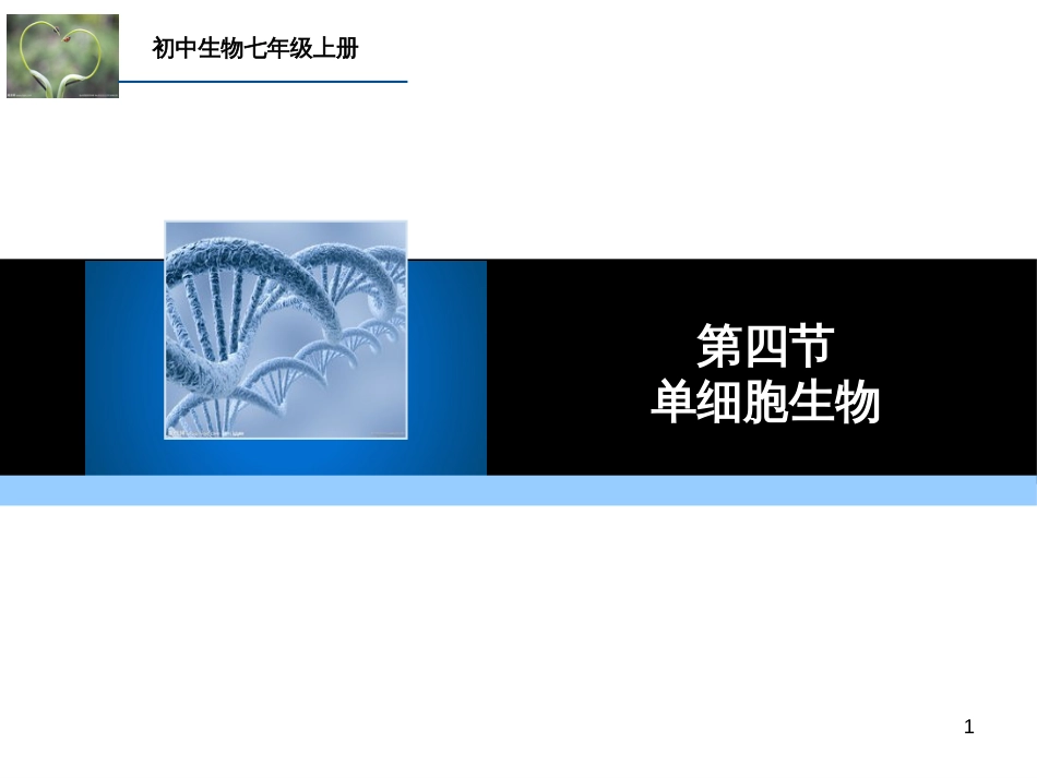 （人教版）语文九年级上学期同步练习课件：名著导读（一） (53)_第1页