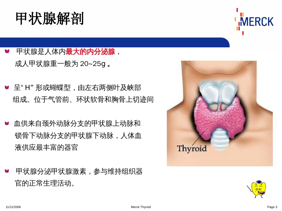 甲状腺基础疾病诊疗[共52页]_第3页