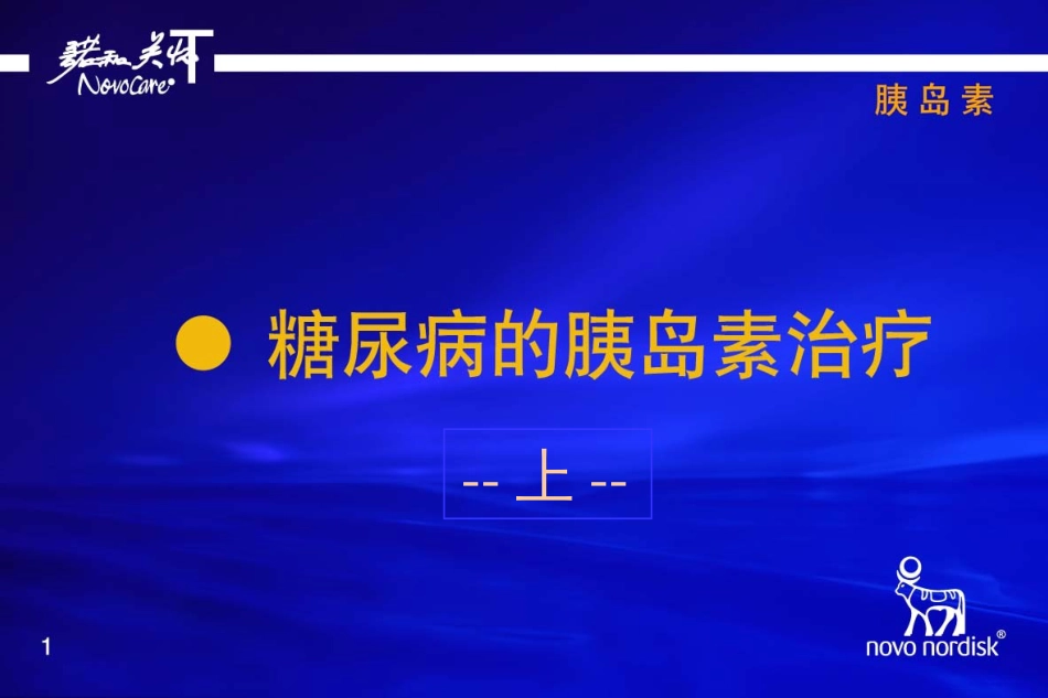 糖尿病胰岛素治疗患者教育[共18页]_第1页