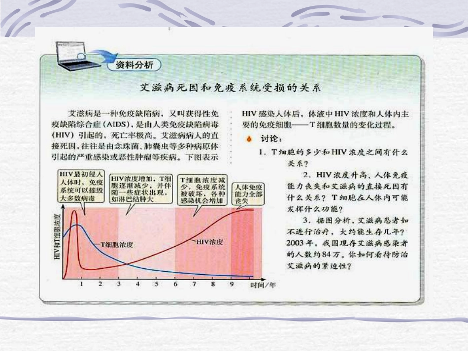 艾滋病原理[共52页]_第3页