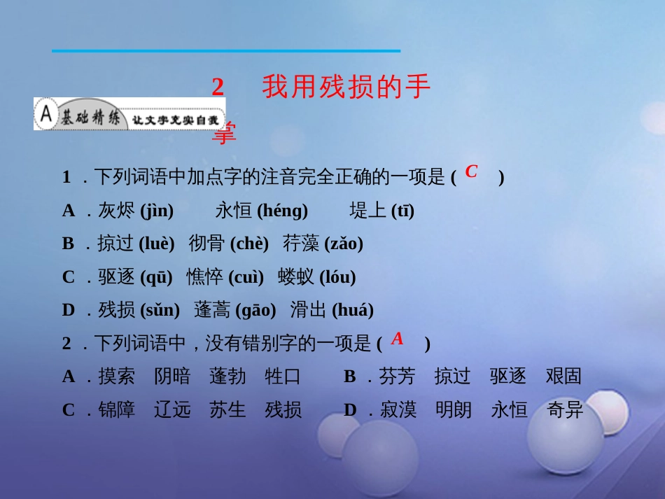 九年级语文下册 2 我用残损的手掌课件 新人教版_第2页