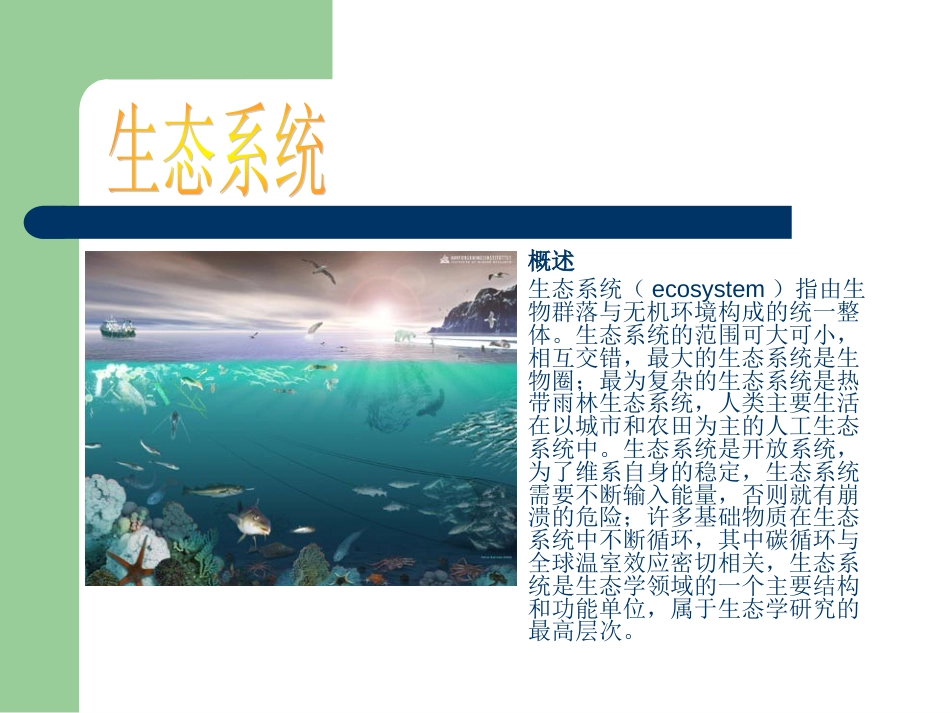生物与环境的关系4[共10页]_第2页