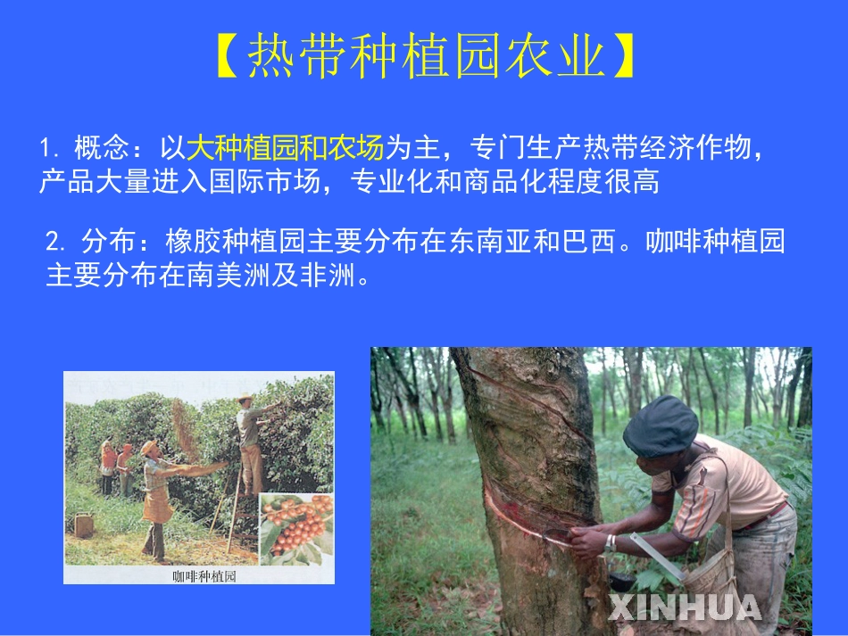 农业的分类[共10页]_第3页