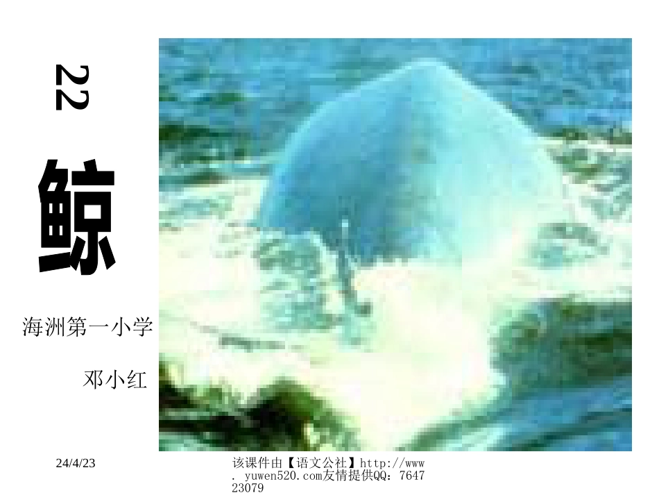 课程标准实验教材五年级上册鲸课件[共16页]_第1页