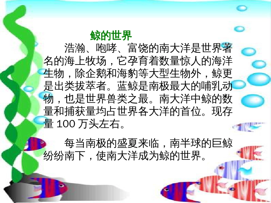 课程标准实验教材五年级上册鲸课件[共16页]_第3页