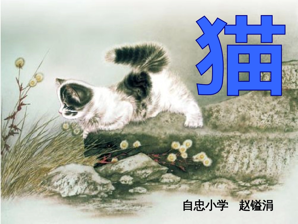 课标版四年级上册《猫》ppt说课课件_第1页