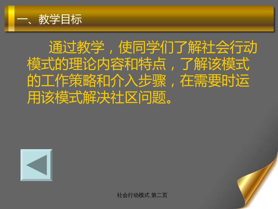 社区社会工作.社会行动模式[共23页]_第2页