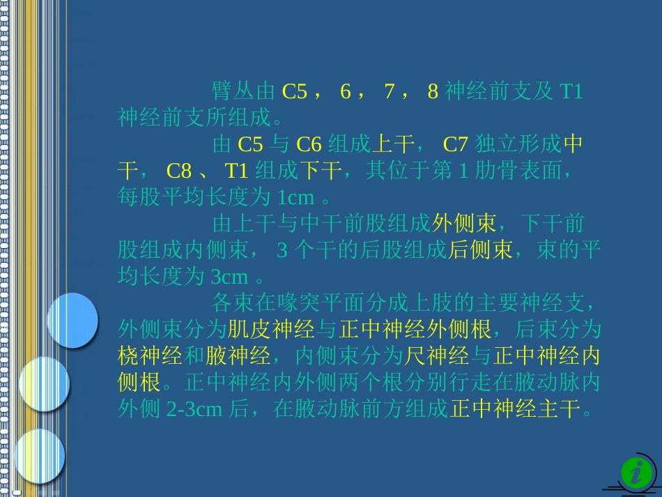 臂丛神经损伤的诊断[共120页]_第3页