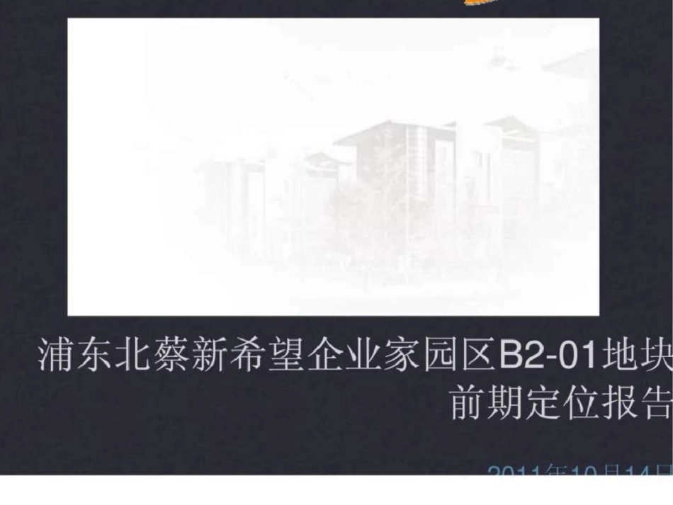 上海浦东北蔡新希望企业家园区B201地块前期定位报告文档资料_第1页