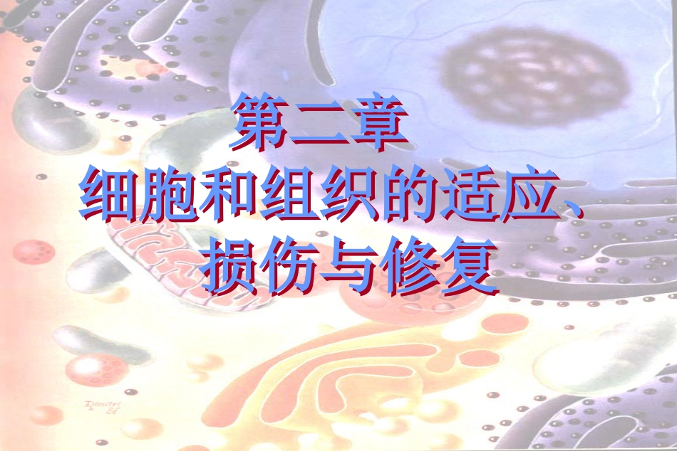 第二章 细胞和组织的适应、损伤与修复[共117页]_第1页