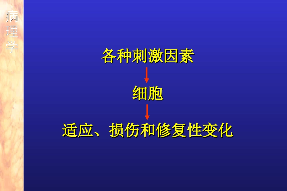 第二章 细胞和组织的适应、损伤与修复[共117页]_第3页