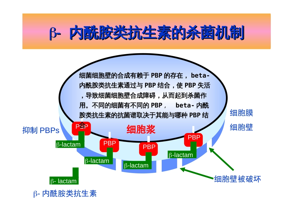 细菌耐药与临床应用[共29页]_第2页