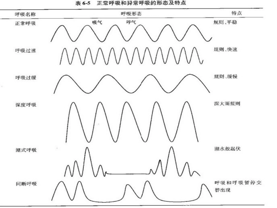 脑损伤后的呼吸形式改变及意义[共18页]_第3页