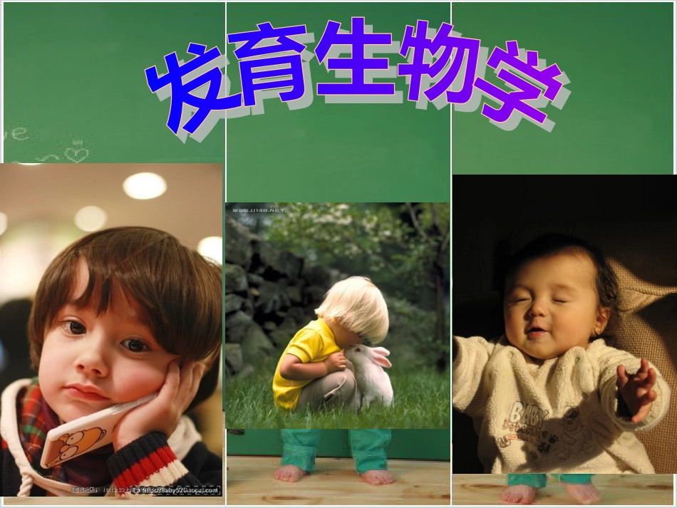 生物学基础[共10页]_第1页