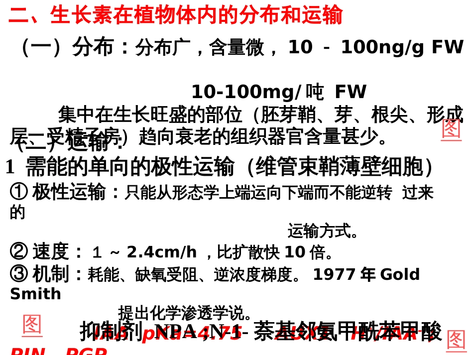 植物生理学8植物生长物质_第3页