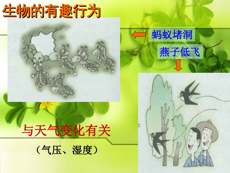 环境对生物行为的影响[共18页]_第3页