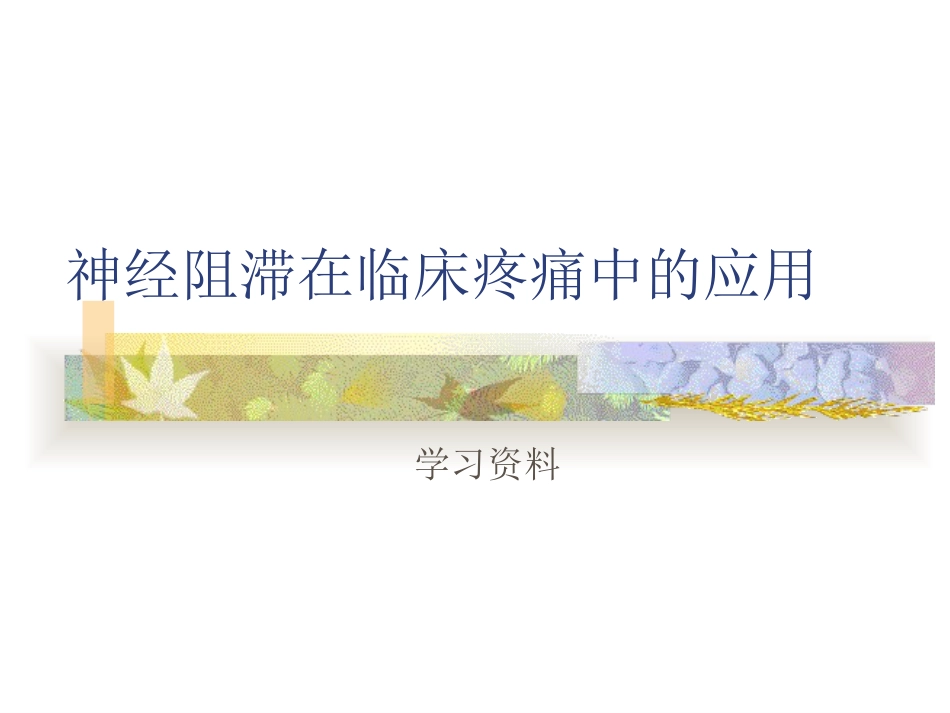 神经阻滞在临床疼痛中的应用捷卡班2009_第1页