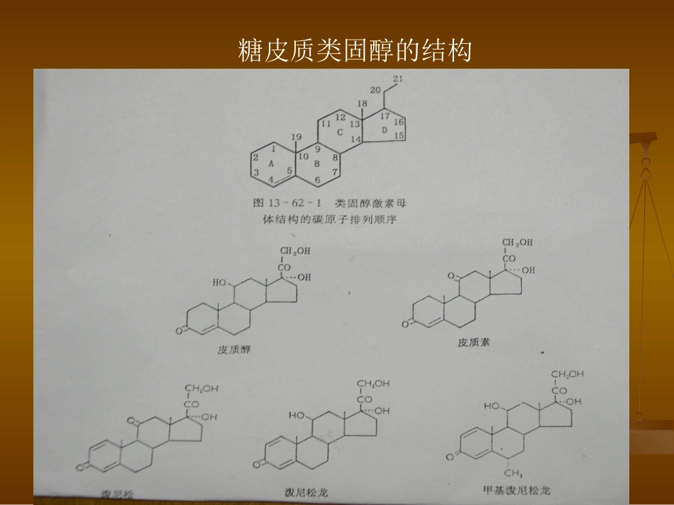 糖皮质激素在皮肤科的应用[共53页]_第3页