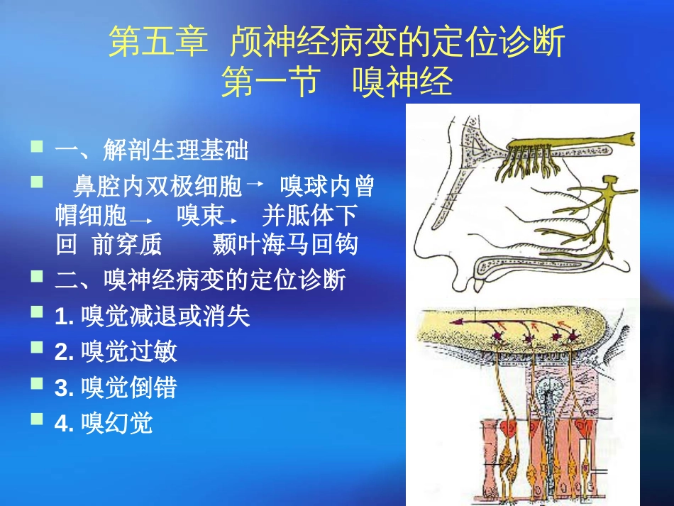 神经定位诊断学[共125页]_第2页