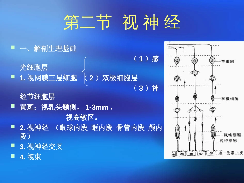 神经定位诊断学[共125页]_第3页