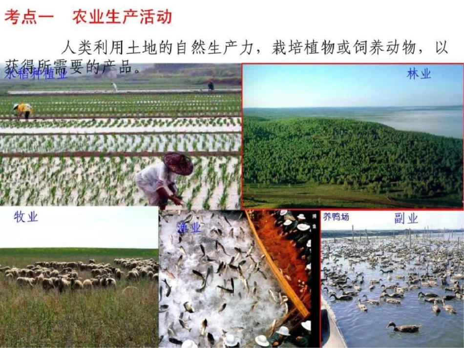 2011高三地理一轮复习课必修二第三章农业区位因素文档资料_第2页