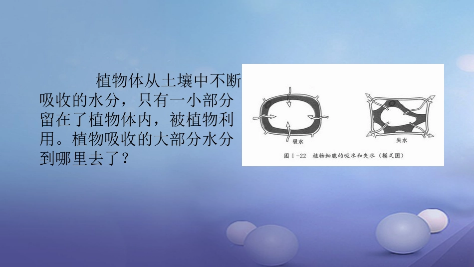 七年级生物上册 3.5.4 蒸腾作用课件 （新版）北师大版_第2页
