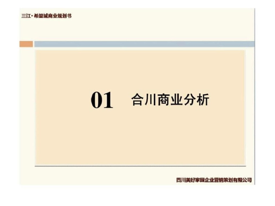 2011年1月重庆合川区三江希望城商业规划书-文档资料_第2页