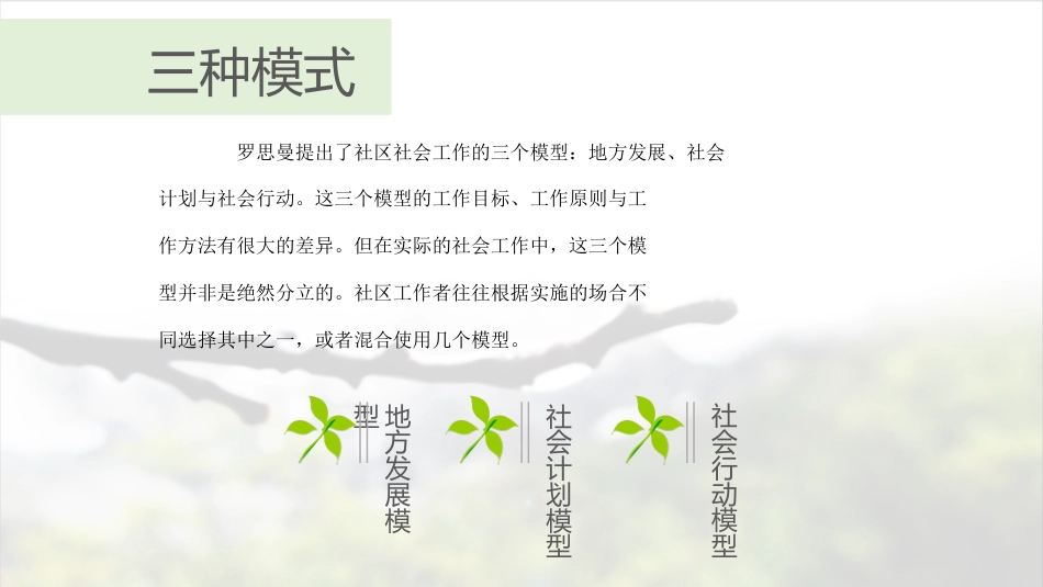 社区工作三大模式比较[共14页]_第2页