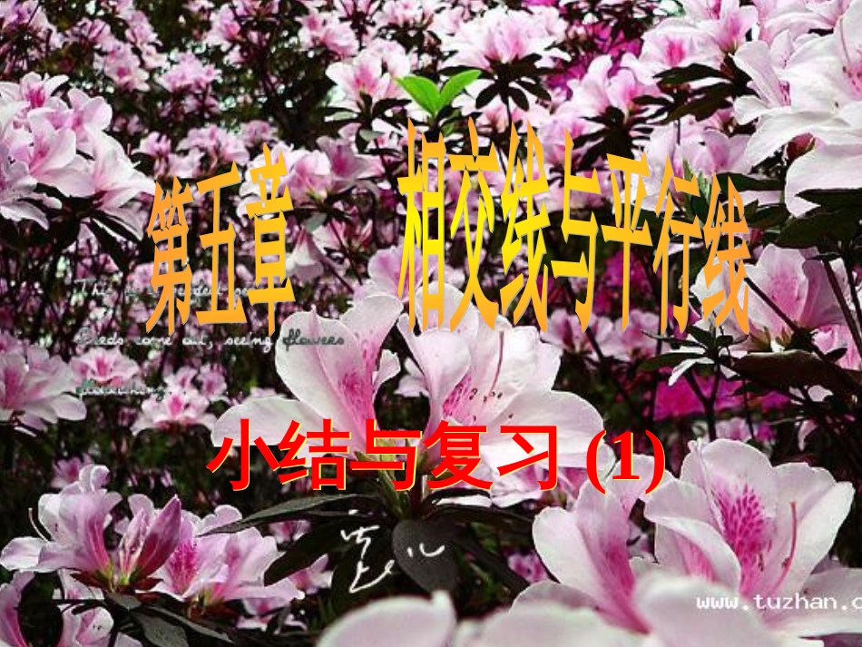 第五章 小结云复习一课件_第1页