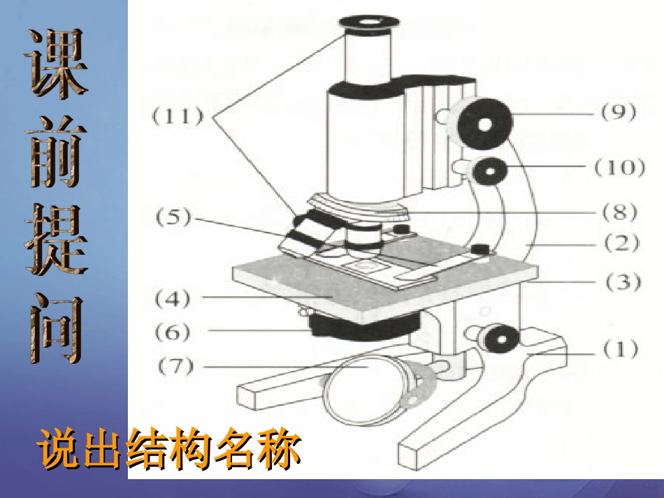 浙江省温州市苍南县龙港镇七年级科学上册 2.2.2 细胞课件 （新版）浙教版[共18页]_第1页