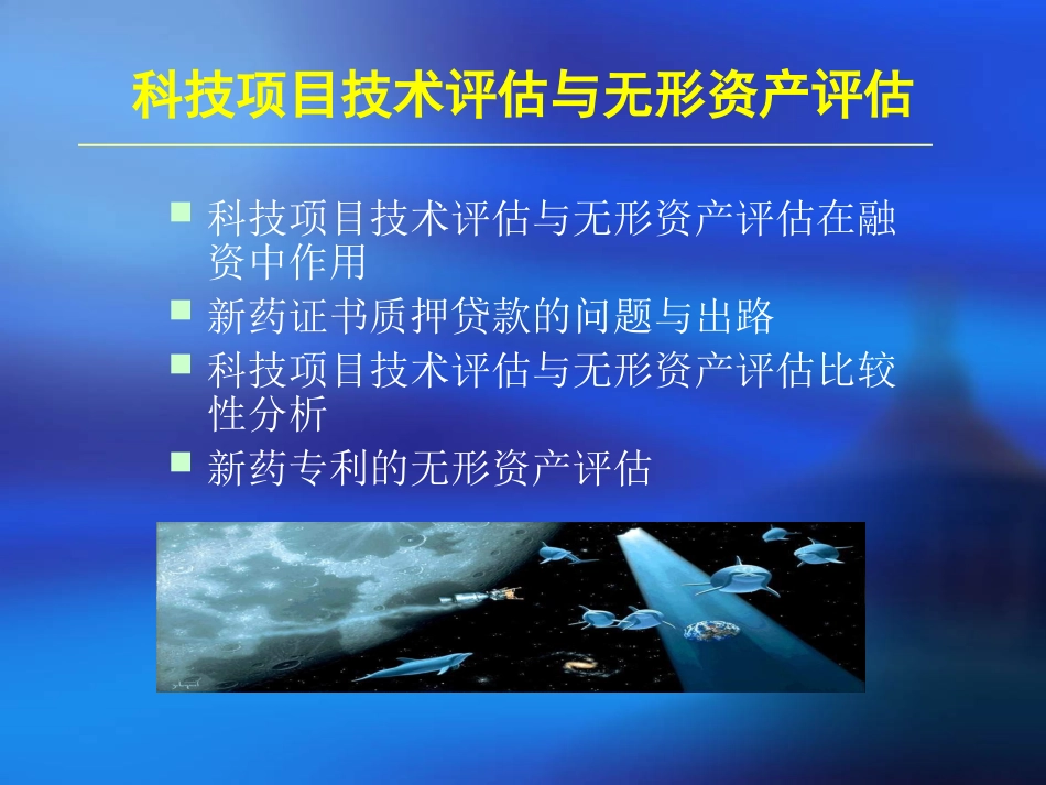 科技项目技术评估与无形资产评估201_第2页