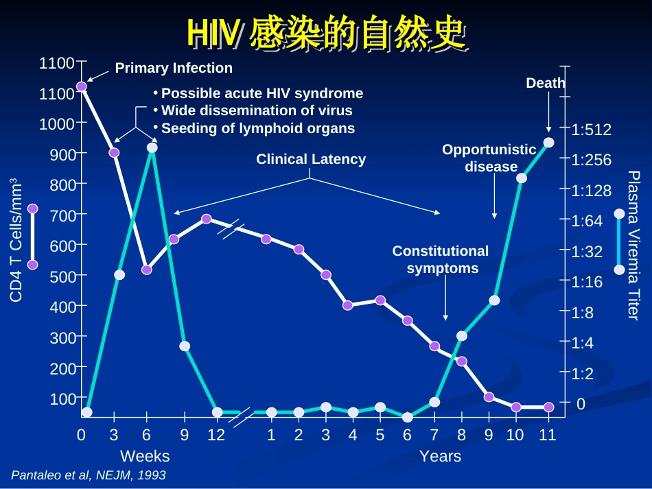 艾滋病流行形势与防治策略[共137页]_第3页